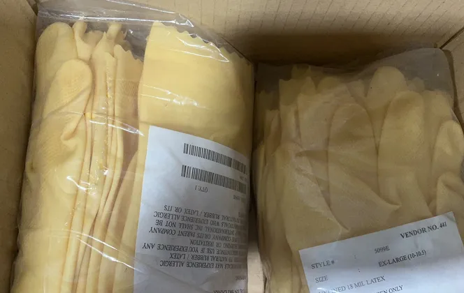 Latex Gloves