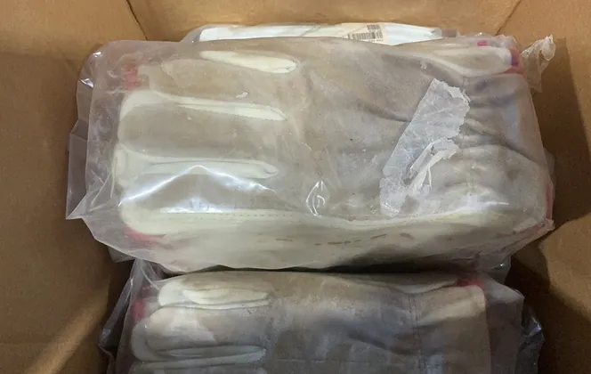 Gloves