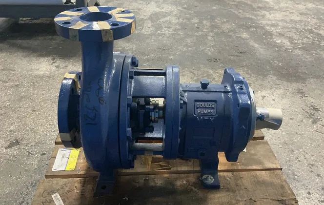 Goulds Pumps Pump - Mtx
