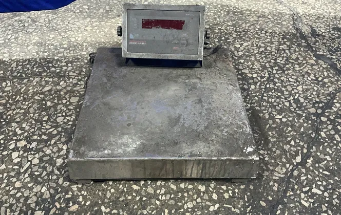 Rice Lake Weighting Systems Digital Floor Scale - 480legend