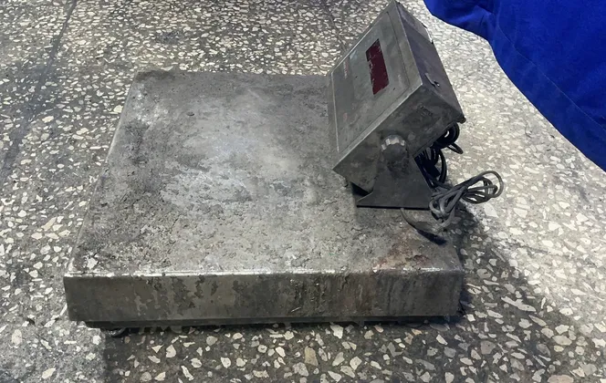 Rice Lake Weighting Systems Digital Floor Scale - 480legend