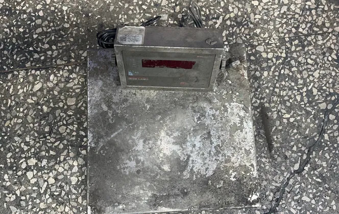 Rice Lake Weighting Systems Digital Floor Scale - 480legend