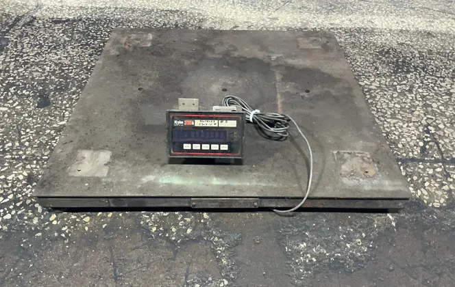 Rice Lake Weighing Systems 250 X .01 Lbs Digital Floor Scale - Iqplus-310a