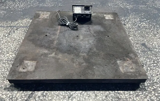 Rice Lake Weighing Systems 250 X .01 Lbs Digital Floor Scale - Iqplus-310a