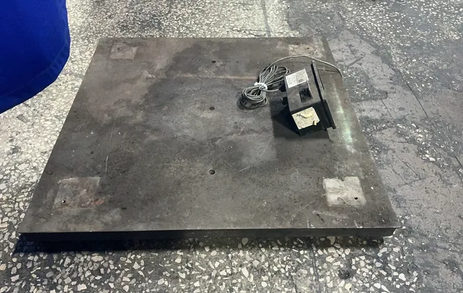 Rice Lake Weighing Systems 250 X .01 Lbs Digital Floor Scale - Iqplus-310a