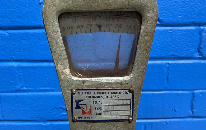 The Exact Weight Scale Scale Co. 5 Lbs Over Under Scale - 100
