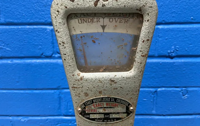 The Exact Weight Scale Scale Co. 5 Lbs Over Under Scale - 100