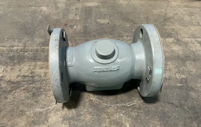 Check Valve