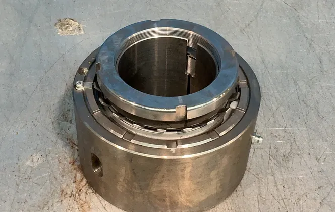 Large Greasible Bearing