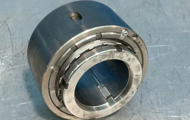Large Greasible Bearing
